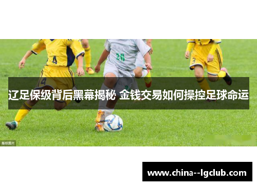 辽足保级背后黑幕揭秘 金钱交易如何操控足球命运 辽足保级背后黑幕揭秘 金钱交易如何操控足球命运