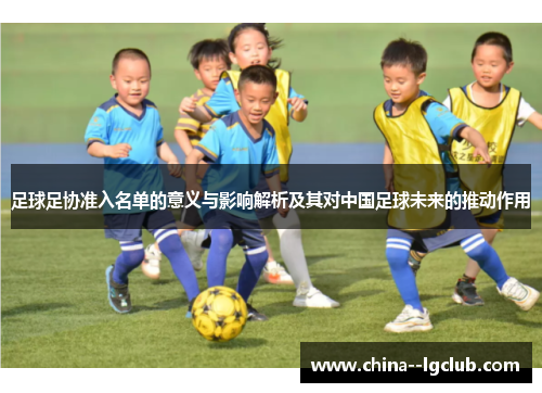 足球足协准入名单的意义与影响解析及其对中国足球未来的推动作用 足球足协准入名单的意义与影响解析及其对中国足球未来的推动作用