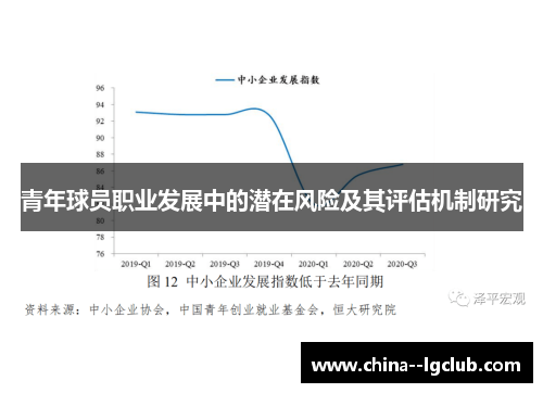 青年球员职业发展中的潜在风险及其评估机制研究